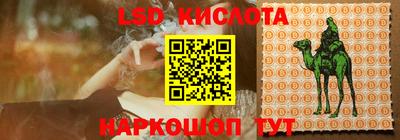 ГАЛЛЮЦИНОГЕННЫЕ ГРИБЫ Сланцы