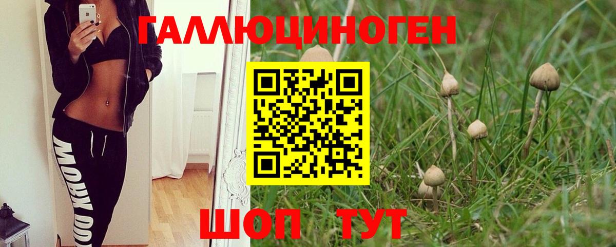 Галлюциногенные грибы мицелий Острогожск